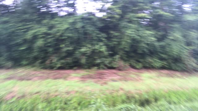 Look Out, It’s the Delta Variant!