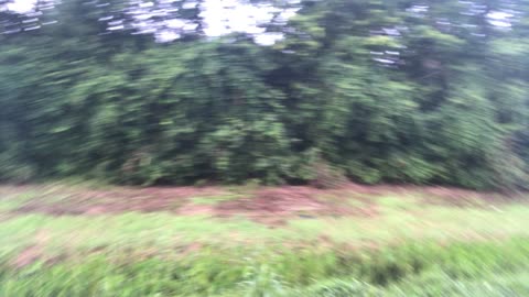 Look Out, It’s the Delta Variant!