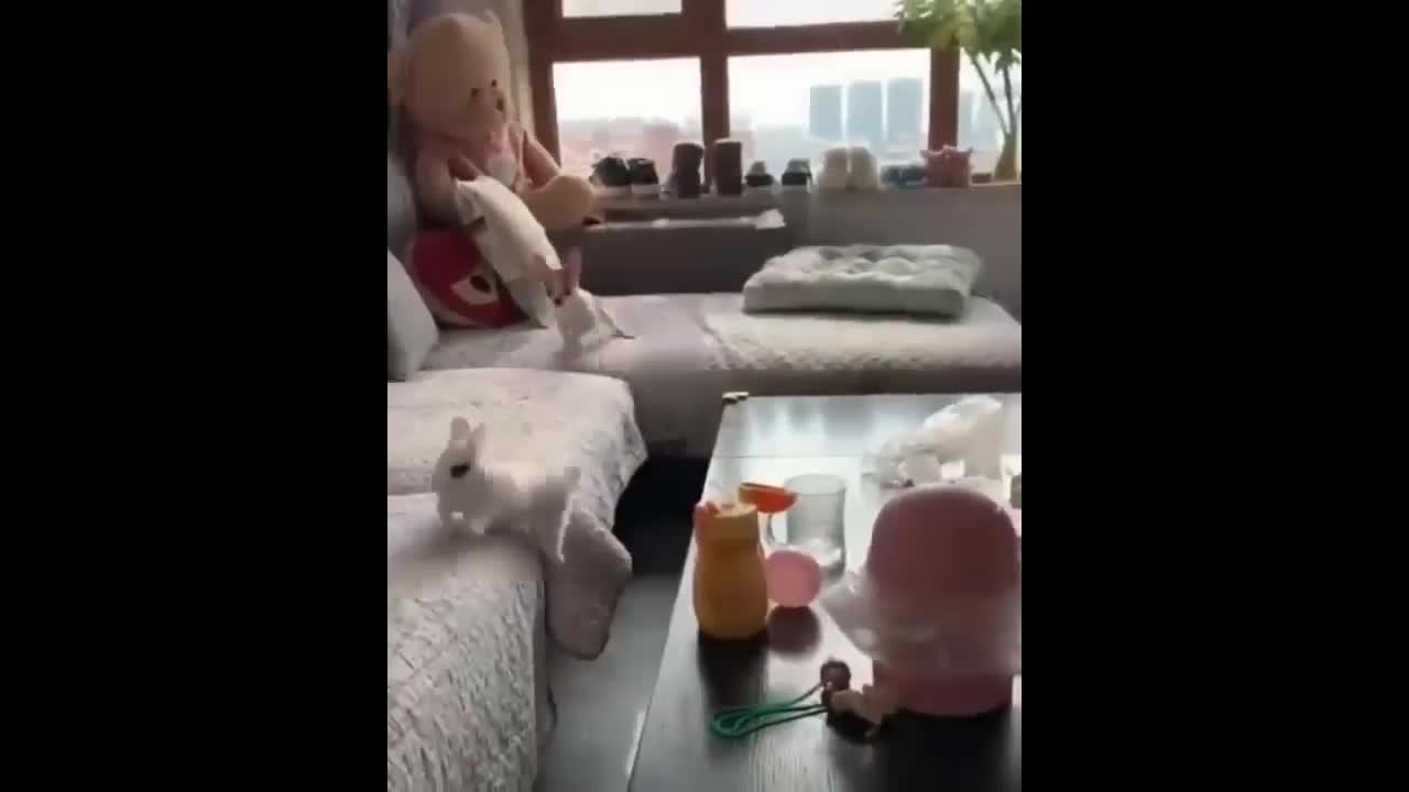 How cute this puppy playing with the bunny i want one for me
