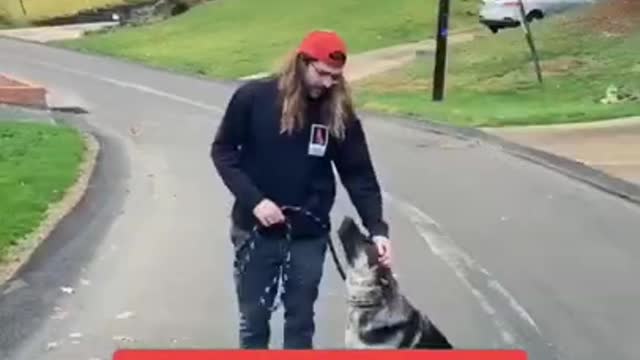 How to teach leash student up
