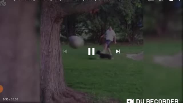 Man playing with his dog with a ball