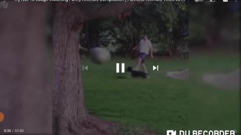 Man playing with his dog with a ball