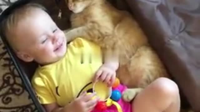 Kitty And Baby Climb Into Suitcase Together, kittens, kitten, cat, cats, animals, baby #shorts