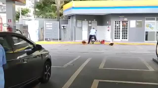 Antes de andar de moto, aprende andar de moto