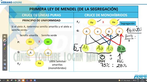 VERANO ADUNI 2022 | Semana 06 | Biología