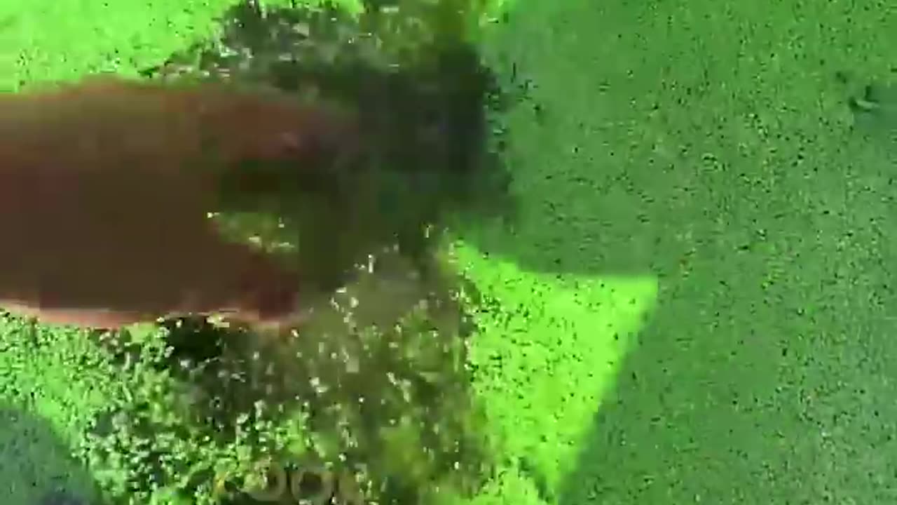 Capturing cool underwater footage GONE WRONG!!