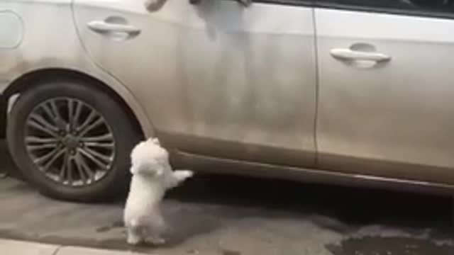 Пружинка