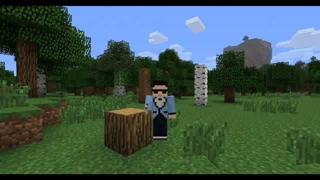 Most Epic minecraft skin EVER (Psy)