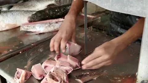 oceant Rita Fish Fast Cutting By machine in market