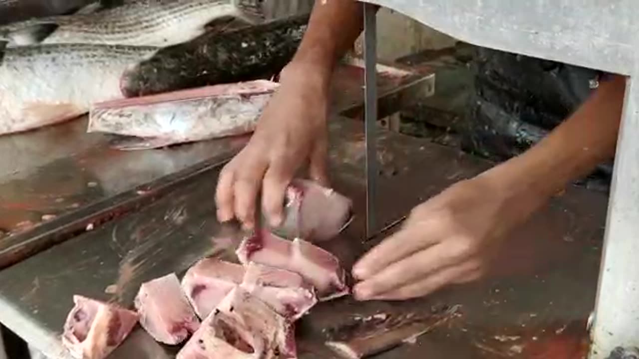 oceant Rita Fish Fast Cutting By machine in market