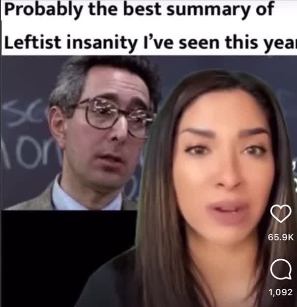 Summary of leftist insanity