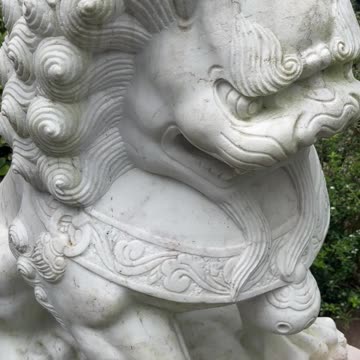 Happy Chinese New Year!