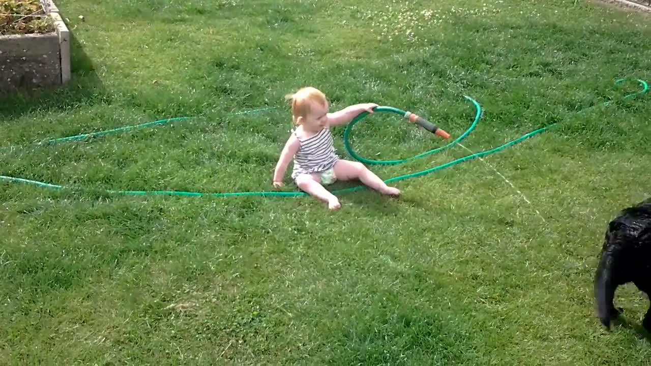 Little kid playing with black dog