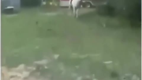 Best Funny Moments 2022 (60 Seconds) || Part #17