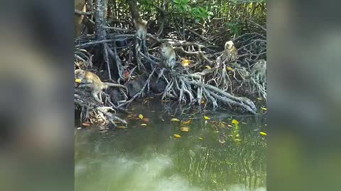 Having fun with nature...