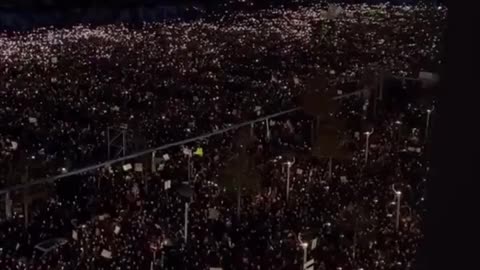 What An Actual Protest Looks Like