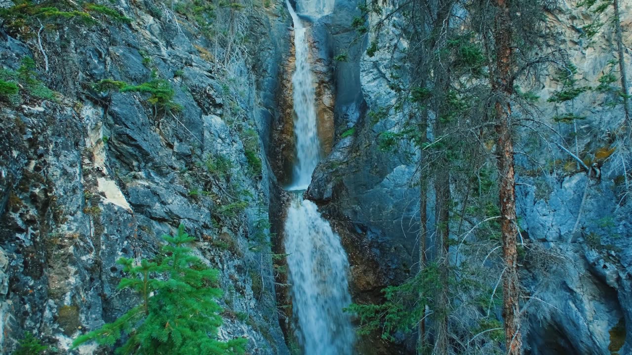 Nature and forest