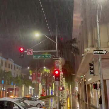 BLM rioters terrorizing shoppers and retail workers in Rodeo Drive