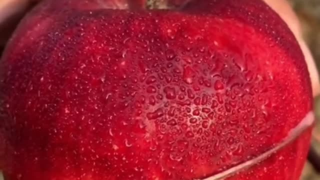 Fruits Video Farm Fresh Ninja Fruit Cutting Satisfying Fruit | Amazing Fruits Video #fruits #short