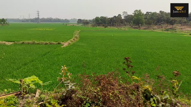 Natural Beauty Of Banglades