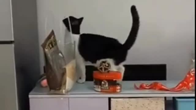 Funny_Animals_Videos_2022_🤣-_Funniest_Cats_and_Dogs🐱🐕