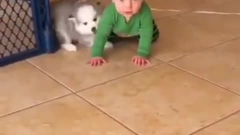 Baby baby playing