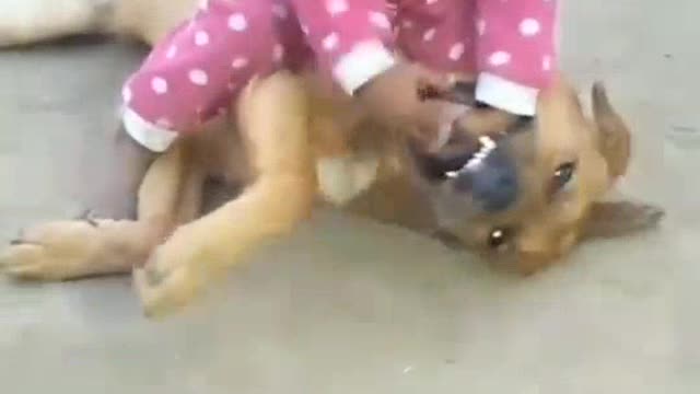 The girl's hand went inside the dog's mouth