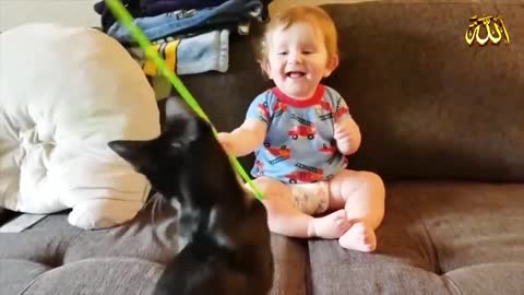 Funny jokes for children with animals