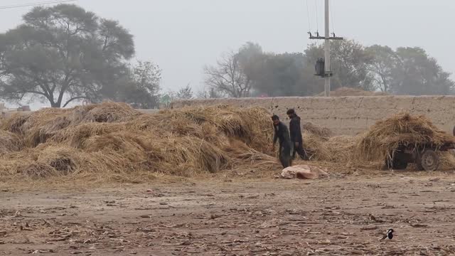 Funny BUSHMAN PRANK In Pakistan Part 2 !