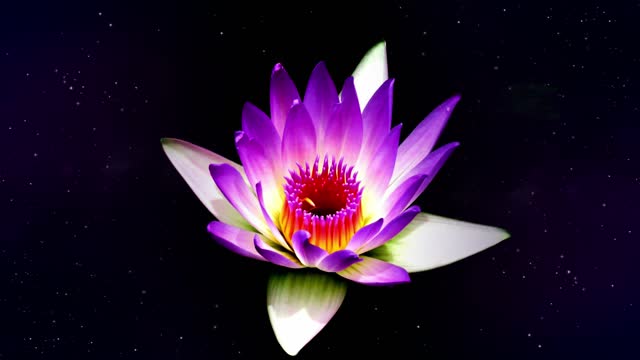 š¤Meditação e Relaxamento Para o Despertar da ConsciĆŖncia!šš§āāļø