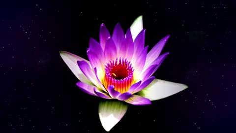 💤Meditação e Relaxamento Para o Despertar da Consciência!🕉🧘‍♀️