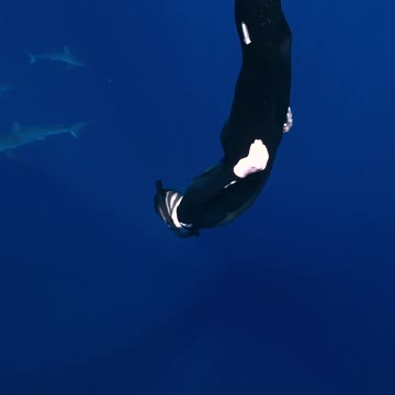 Snorkeling with a ton of sharks!