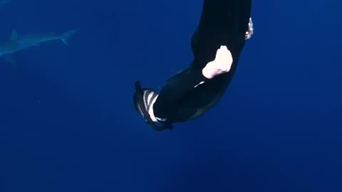 Snorkeling with a ton of sharks!