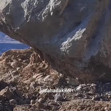 funny|prank|jokes|funny jokes|dad jokes|funny memes|funny video|fun|laughing|funny animal|knock