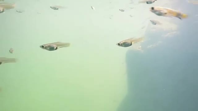 What happens under water