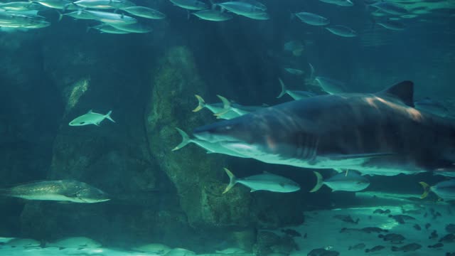 Under water view😊😊