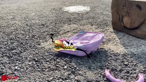 Experiment Car vs Jelly ,Toothpaste, Coca Cola