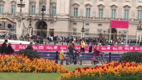 Buckingham palace