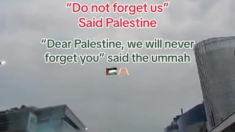 SOUTH AFRICA SUPPORTING PALESTINE