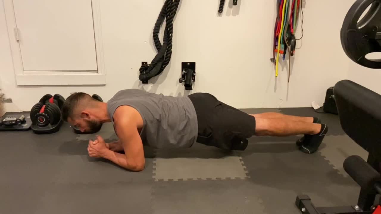 Elbow Plank Alternating Leg Lift