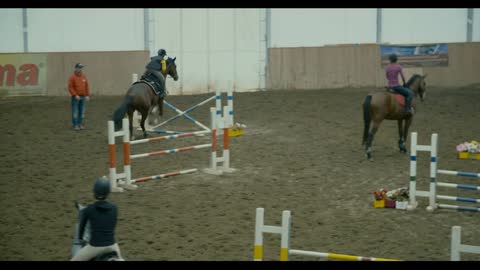 Horses at jumping competition