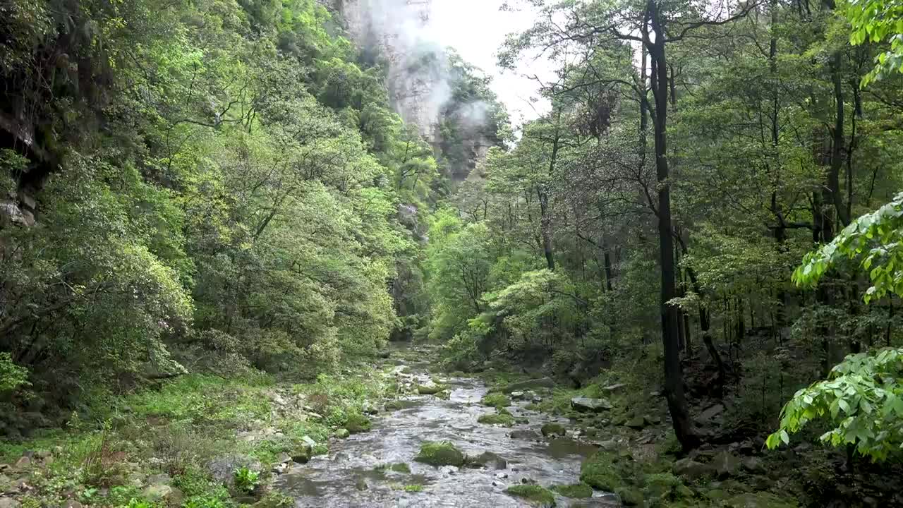 "Avatar" Mountain & Wulingyuan Scenic Area