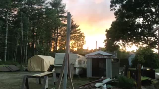 Yard and garden after storm