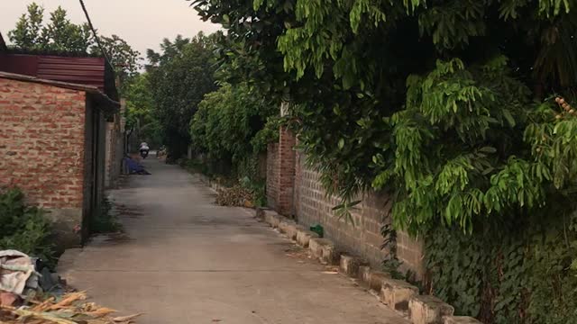 my country road