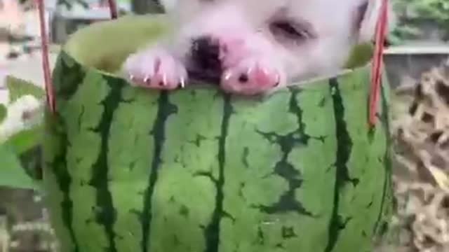 So sleepy