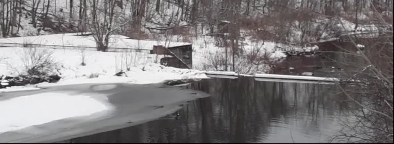 Ducklings on Winter Stream