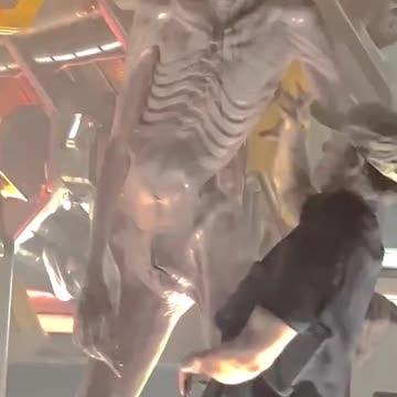 The 7’7” basketball player Robert Bobroczkyi behind the scenes of Alien: Romulus