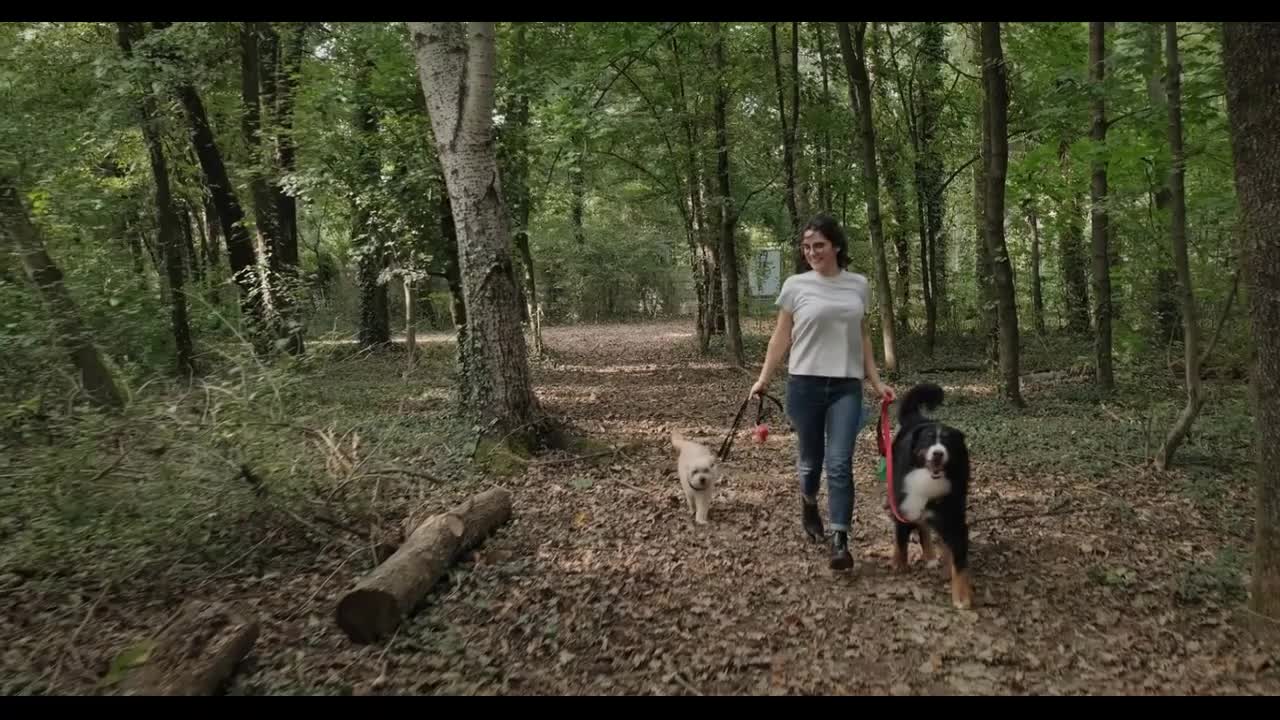 Happy Girl Running With Dogs In Forest Slow Motion