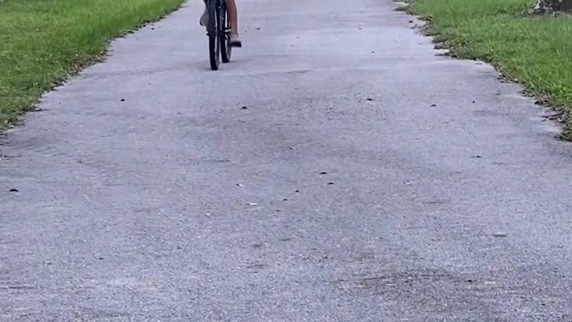 Jazmin Mann and White Bellied Caique on a bike ride