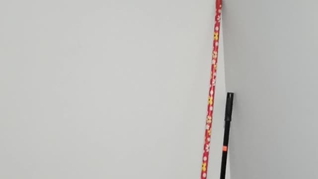 I just got off my 2 week suspension from YouTube